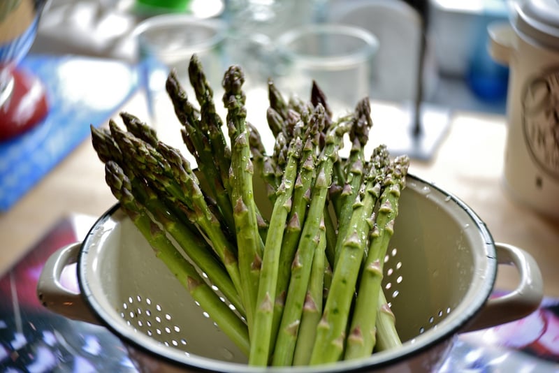 Food Texture